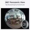 IP-Sicherheitskamera Reolink Fisheye P520 6MP Dome, 2560×2560, 180° Fisheye, PoE/DC, microSD bis zu 256 GB