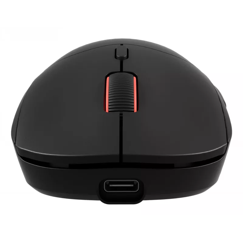 GENESIS Zircon XIII Maus Gaming Ambidextrous RF Wireless + USB Type-C Optisch 26000 DPI