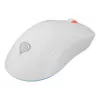 GENESIS Zircon XIII Maus Gaming Ambidextrous RF Wireless + USB Type-C Optisch 26000 DPI
