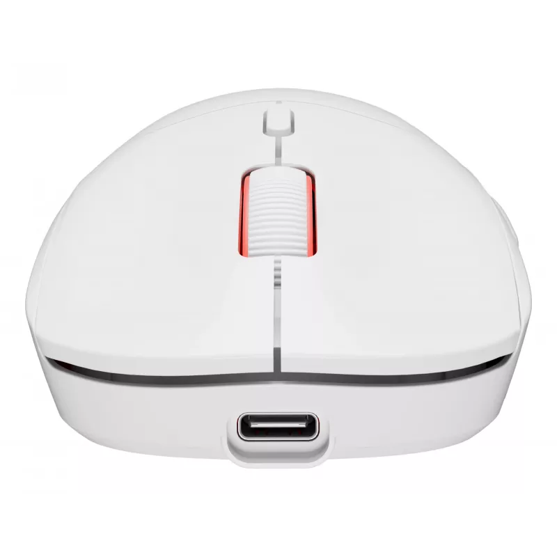 GENESIS Zircon XIII Maus Gaming Ambidextrous RF Wireless + USB Type-C Optisch 26000 DPI
