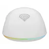 GENESIS Zircon XIII Maus Gaming Ambidextrous RF Wireless + USB Type-C Optisch 26000 DPI