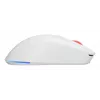 GENESIS Zircon XIII Maus Gaming Ambidextrous RF Wireless + USB Type-C Optisch 26000 DPI