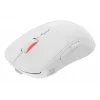GENESIS Zircon XIII Maus Gaming Ambidextrous RF Wireless + USB Type-C Optisch 26000 DPI
