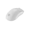 GENESIS Zircon 500 Maus Gaming Rechtshänder RF Wireless + Bluetooth + USB Typ-C Optisch 10000 DPI