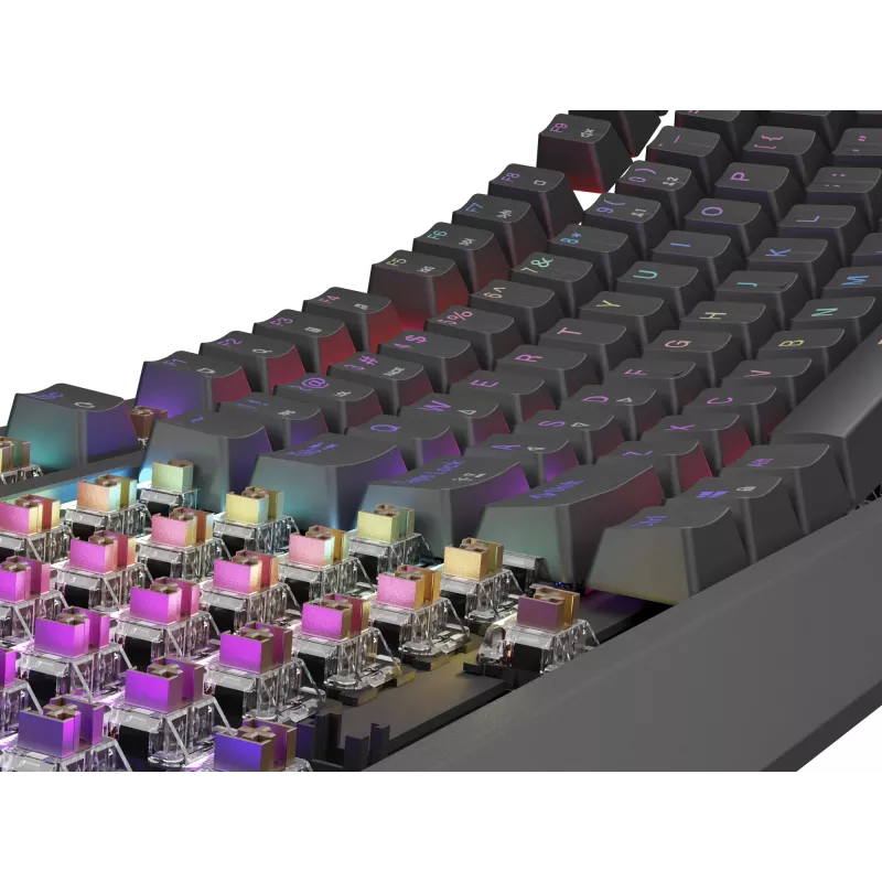 Mechanische Gaming-Tastatur Genesis Thor 230 TKL — Tenkeyless, US QWERTY, Outemu Brown Switches, RGB, 1000 Hz, USB