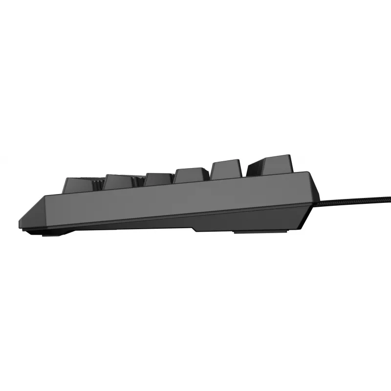 Mechanische Gaming-Tastatur Genesis Thor 230 TKL — Tenkeyless, US QWERTY, Outemu Brown Switches, RGB, 1000 Hz, USB