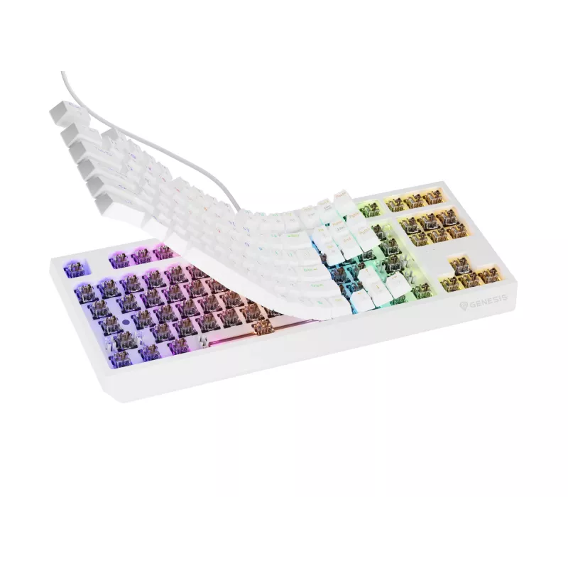 GENESIS Thor 230 TKL Tastatur Gaming USB + RF Wireless + Bluetooth QWERTY Weiß