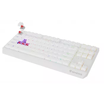 Tenkeyless Gaming-Tastatur GENESIS Thor 230 TKL — USB, RF Wireless, Bluetooth, QWERTY, Weiß