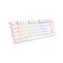 GENESIS Thor 303 TKL Tastatur Gaming USB QWERTY US International Weiß