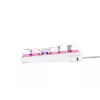 GENESIS Thor 303 TKL Tastatur Gaming USB QWERTY US International Weiß