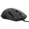 Targus AMU81AMGL Maus Office Ambidextrous USB Type-A Optical 1000 DPI