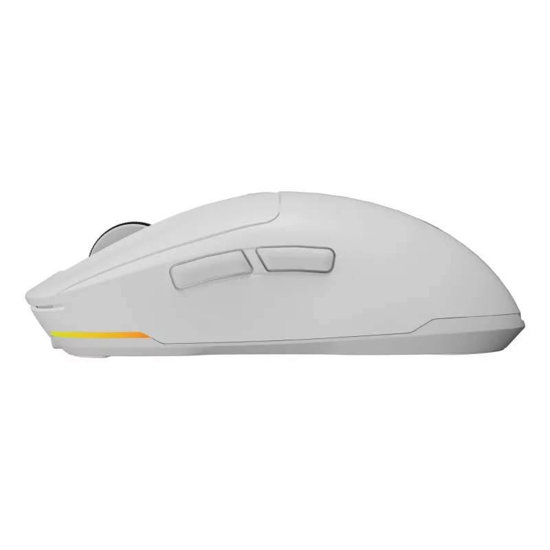 GENESIS NMG-2194 Maus Gaming Beidhändig Bluetooth + USB Typ-C Optisch 26000 DPI