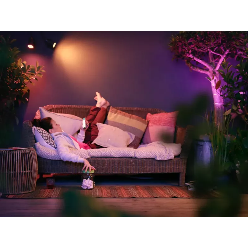 Philips Hue White and Colour Ambience Lily Außenstrahler