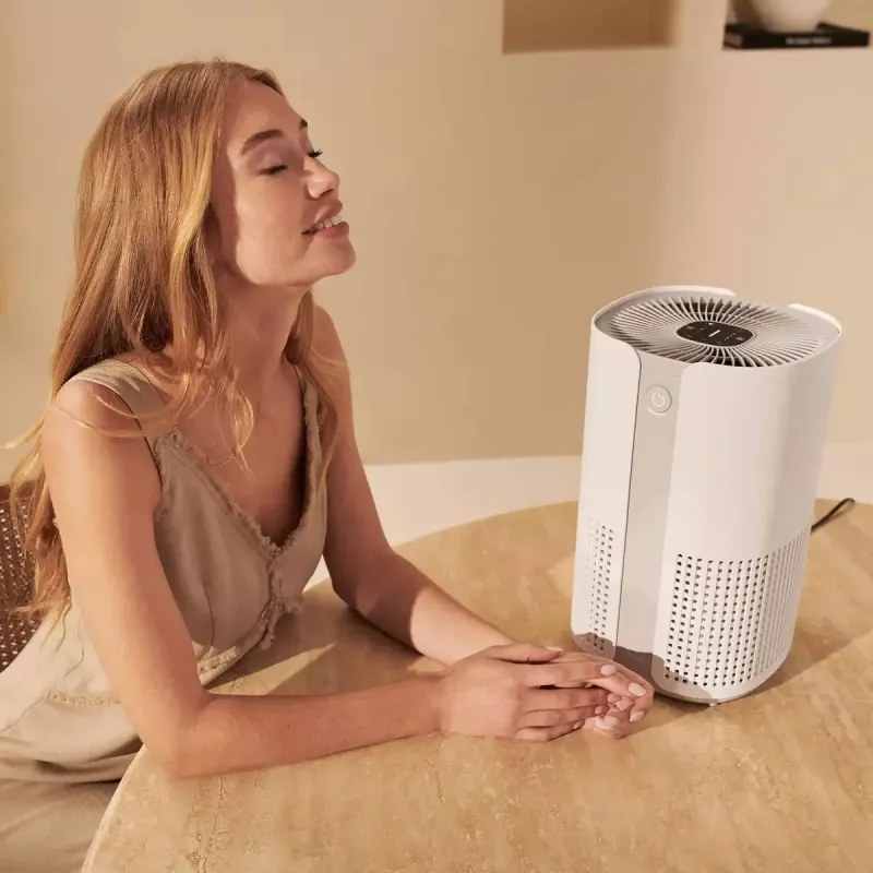 Luftreiniger Duux Smart Air Purifier Bright 2 — 22 W, für Räume bis 42 m²