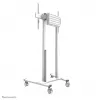 Neomounts ABL-875 Radfeststeller-Set für Wagen (2 Stk.)