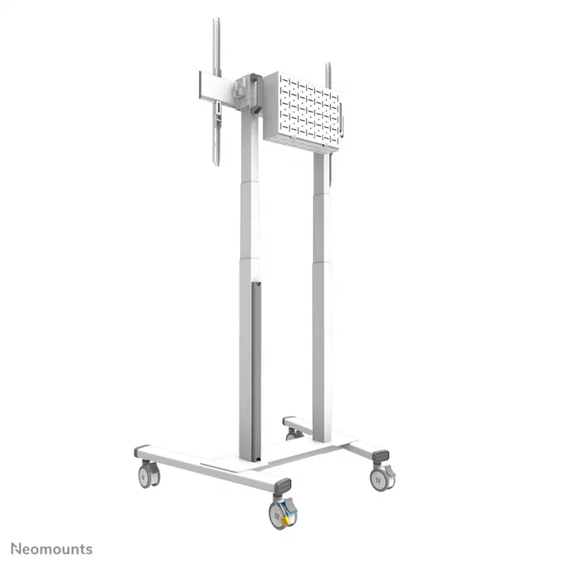 Neomounts ABL-875 Radfeststeller-Set für Wagen (2 Stk.)