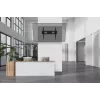 Neomounts Schwerlast TV-Wandhalterung 125 kg 43-98 Zoll VESA 100x100-800x600