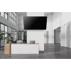 Neomounts Schwerlast TV-Wandhalterung 125 kg 43-98 Zoll VESA 100x100-800x600