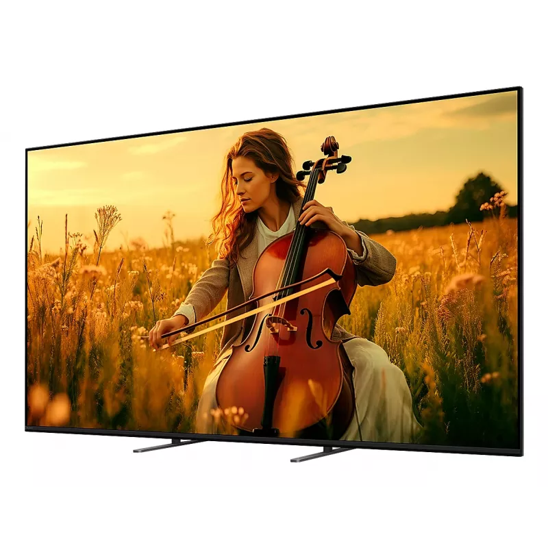 Sony K-55XR5 139,7 cm (55 Zoll) 4K Ultra HD Smart TV Wi-Fi Schwarz