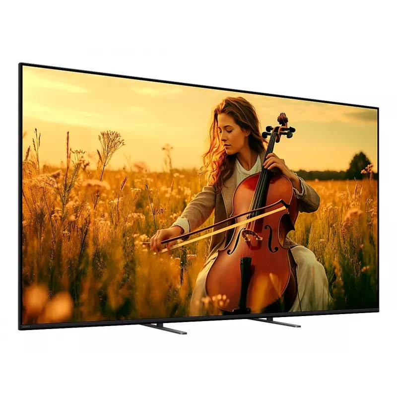 Sony K-55XR5 139,7 cm (55 Zoll) 4K Ultra HD Smart TV Wi-Fi Schwarz