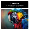 TV LG 55QNED85A3C 55 Zoll 4K QNED evo Smart TV, WebOS, Motion Pro, Wi‑Fi, Ethernet, DVB-T/T2, Schwarz