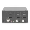 DIGITUS 2-Port DisplayPort DualView 60 Hz 4K 60fp Multiplattform-Unterstützung
