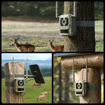 Wildkamera Reolink Camovue Talon S130 4G LTE, 8 MP, 3840×2160, 95° H × 50,2° V, IP67, wiederaufladbar über USB‑C, für den Außenbereich