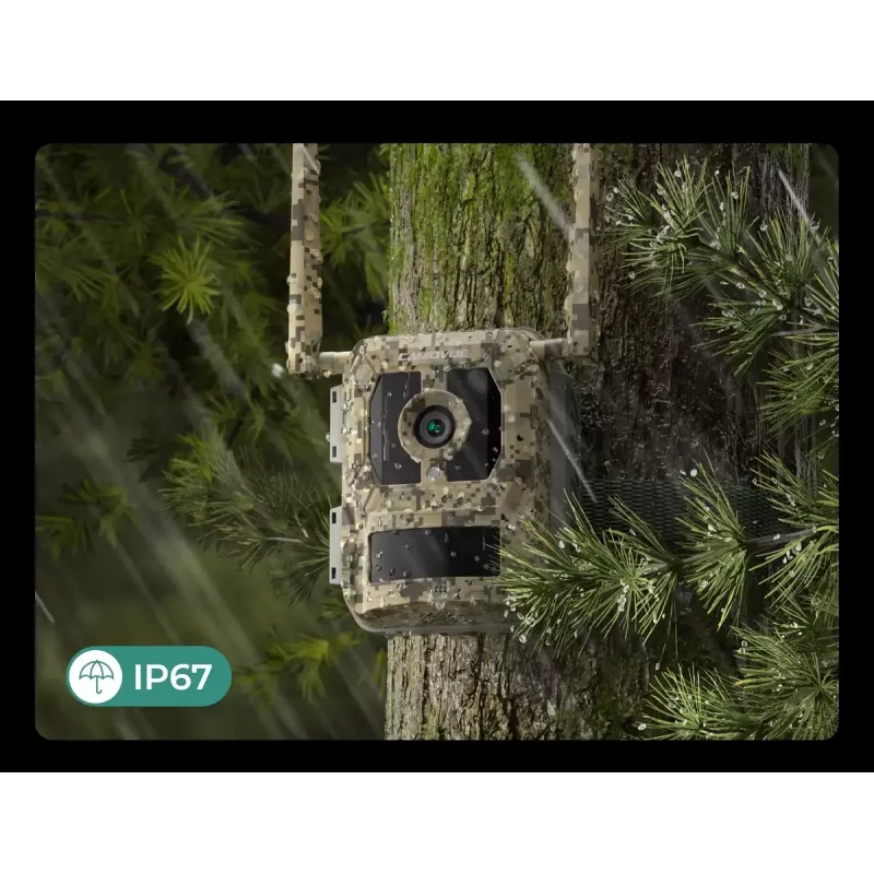Wildkamera Reolink Camovue Talon S130 4G LTE, 8 MP, 3840×2160, 95° H × 50,2° V, IP67, wiederaufladbar über USB‑C, für den Außenbereich