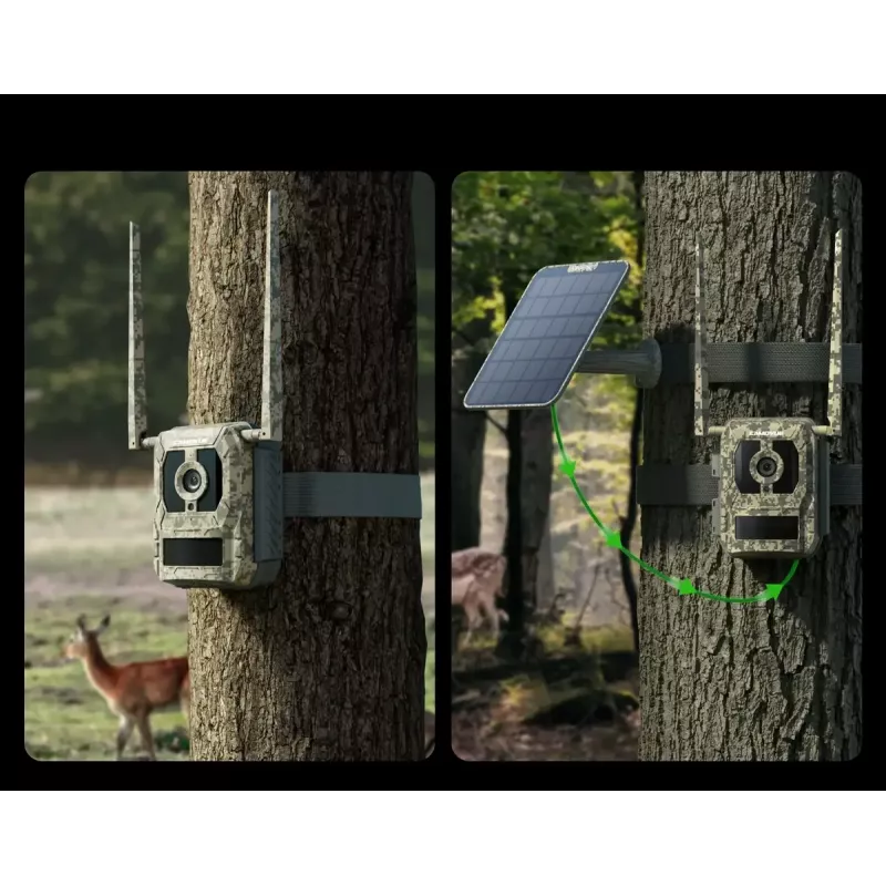 Wildkamera Reolink Camovue Talon S130 4G LTE, 8 MP, 3840×2160, 95° H × 50,2° V, IP67, wiederaufladbar über USB‑C, für den Außenbereich