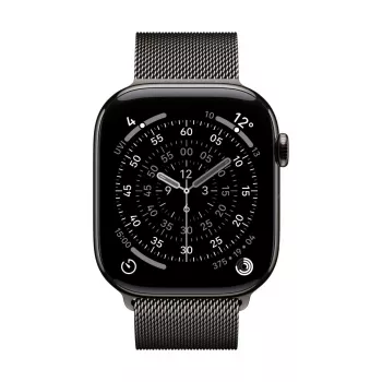 Band Apple MGJ74ZM/A Smartwatch-Zubehör Schiefer Edelstahl 46 mm