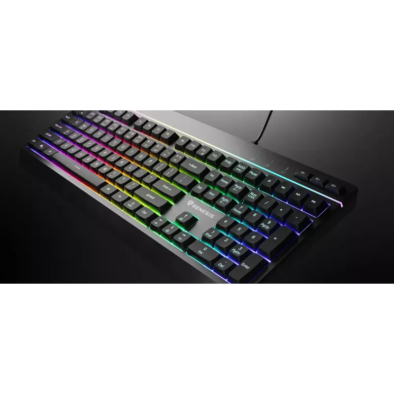 Kabelgebundene Full-Size-Gaming-Tastatur Genesis Rhod 530, USB, QWERTY US, Membran, RGB-Beleuchtung, 114 Tasten, 1,8 m Kabel, Schwarz