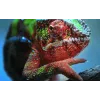 Epson EH-TW7100 Standard-Wurfprojektor 3000 ANSI Lumen 3LCD UHD 4K (3840x2160) 3D Weiß