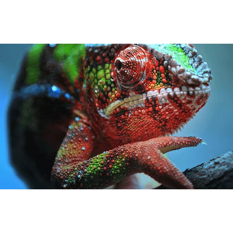 Epson EH-TW7100 Standard-Wurfprojektor 3000 ANSI Lumen 3LCD UHD 4K (3840x2160) 3D Weiß