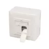 Netzwerkdose 2 x RJ-45 LogiLink NP0124