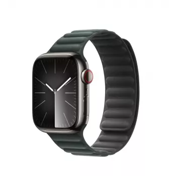 Band Apple 41mm Evergreen Magnetic Link M/L Grün