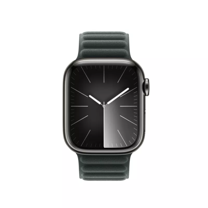 Band Apple 41mm Evergreen Magnetic Link M/L Grün
