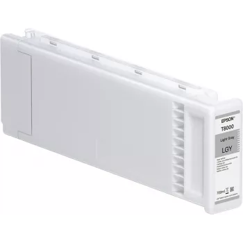 Epson Einzelpackung Hellgrau T800000 UltraChrome PRO 700ml