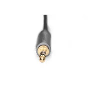 Audio-Adapterkabel Digitus DB-510330-010-S 3,5 mm auf RCA 1 m Schwarz