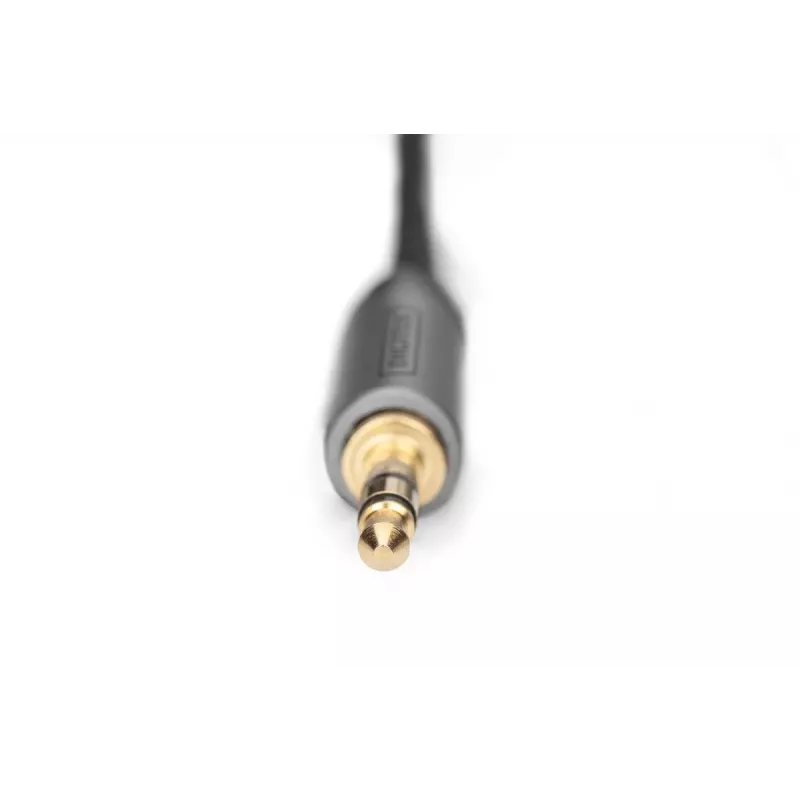 Audio-Adapterkabel Digitus DB-510330-010-S 3,5 mm auf RCA 1 m Schwarz