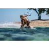 Headset Shokz OpenSwim Pro — kabelloses Open-Ear-Knochenleitungs-Headset, IP68 wasserdicht, Bluetooth 5.4, 32 GB, 9 Std. Wiedergabe, grau