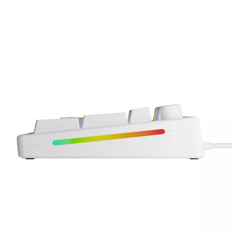 Mechanische kabelgebundene Full-Size-Tastatur (100%) GLORIOUS GMMK 3 HE – Weiß, USB, QWERTY, RGB