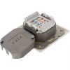 Wandanschlussdose InLine Cat.6 2x RJ45 horizontal — Aufputz- oder Unterputzmontage