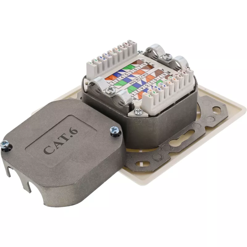 Wandanschlussdose InLine Cat.6 2x RJ45 horizontal — Aufputz- oder Unterputzmontage