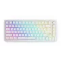 Glorious Gaming Aura V2 Tastenkappe