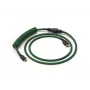 Glorious Gaming Coiled Grün 1.37 m