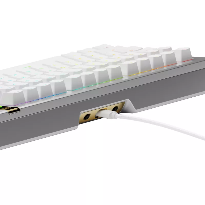 Mechanische Gaming-Tastatur GLORIOUS GMMK 3 PRO HE 75% Prebuilt Kabelgebunden USB QWERTY Silber