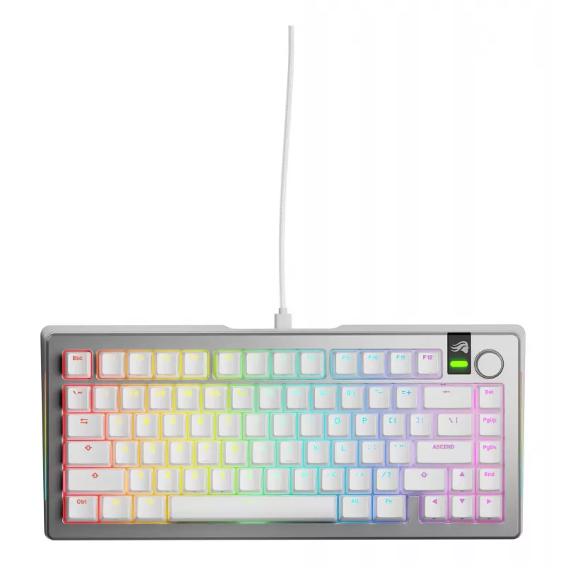 Mechanische Gaming-Tastatur GLORIOUS GMMK 3 PRO 75% Kabelgebunden USB QWERTY RGB Silber (US)