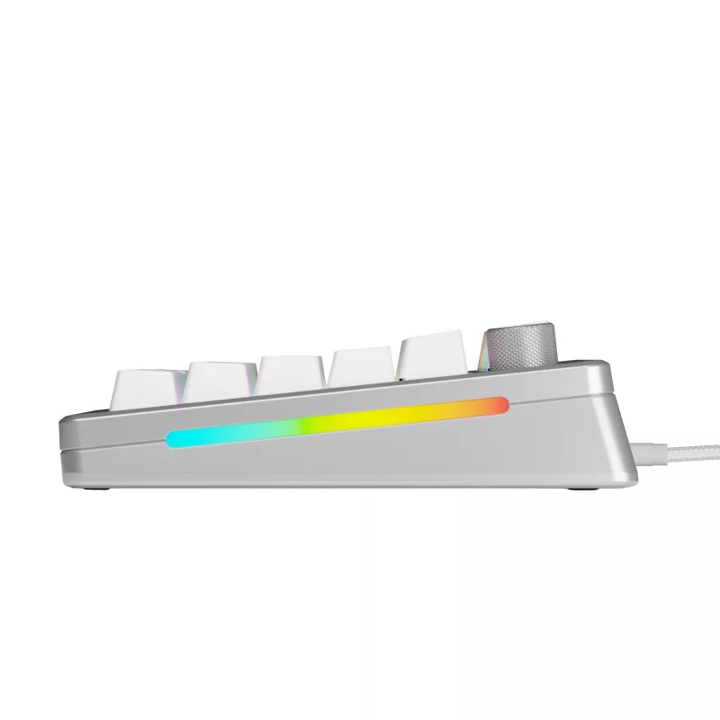 Mechanische Gaming-Tastatur GLORIOUS GMMK 3 PRO 75% Kabelgebunden USB QWERTY RGB Silber (US)