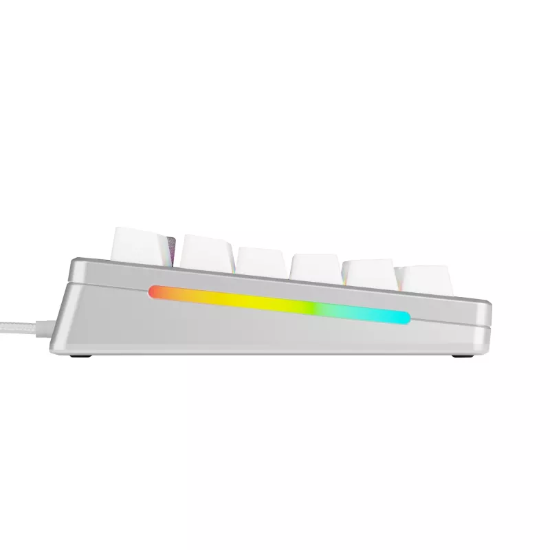 Mechanische Gaming-Tastatur GLORIOUS GMMK 3 PRO 75% Kabelgebunden USB QWERTY RGB Silber (US)