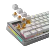 Glorious Gaming Glorious Panda HE Switches - 36 Stück, Tastaturschalter, Polycarbonat (PC), transluzent, Gelb